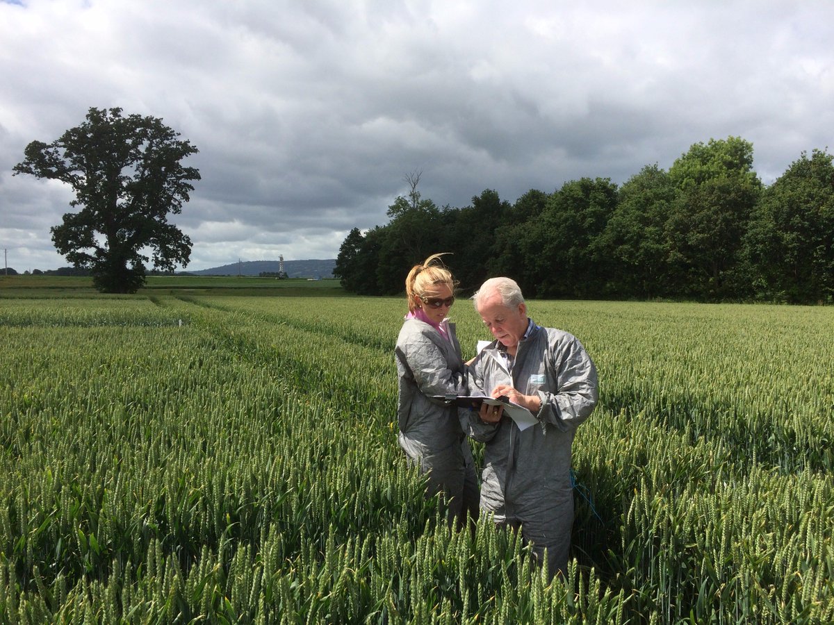 teagasc's tweet photo. JohnHogan &amp; Liz Glynn, Teagasc mapping out the route for the Crops &amp; Cultivation Open Day #OakPark17 https://t.co/p2cXXfqhKa @farmersjournal https://t.co/qgS5IZAdsB