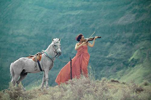 الهدوء فن ََفأذا كنَت فناناٌ في هدوئك اصبحت عازفاٌ في كلامك