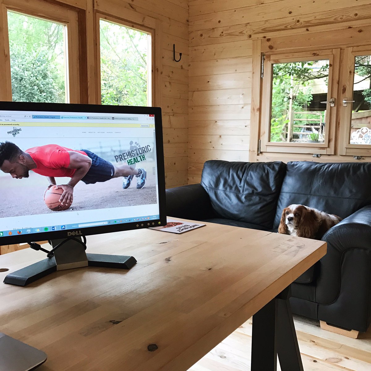 First client meeting underway... unfortunately he seems more interested in the neighbours cat than what I have to say