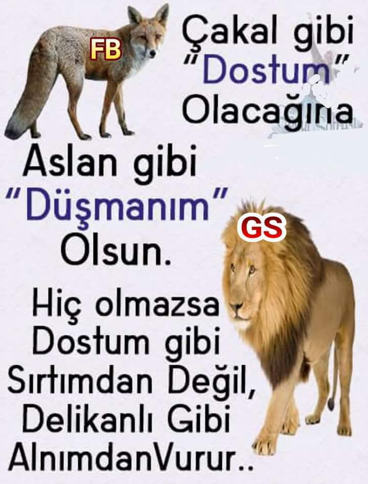 turan tunc (@turantunc4) on Twitter photo 