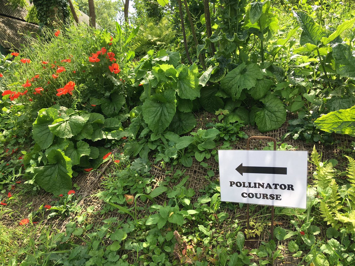 HighWealdNL's tweet photo. We're at #WadhurstPark with @Buzz_dont_tweet, learning how to manage farmland for #pollinators - vital for our landscape! @sussexskipper https://t.co/rTMqB3Fk4M