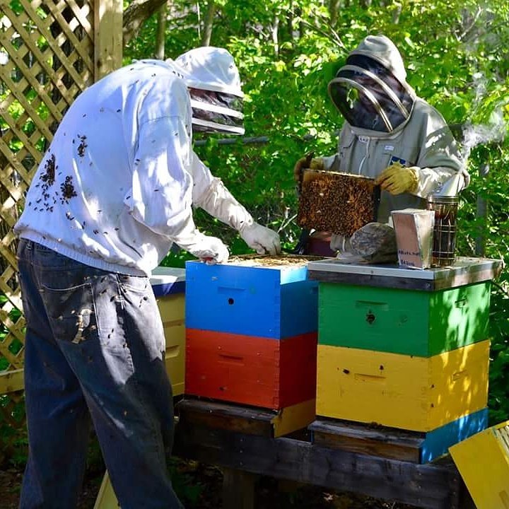FamilySOS's tweet image. Hive Check on Saturday, June 10th! #halifax #dartmouth #hivecheck #beekeeping #BEEAhoney #honeybees #socialenterprise #youthprograms