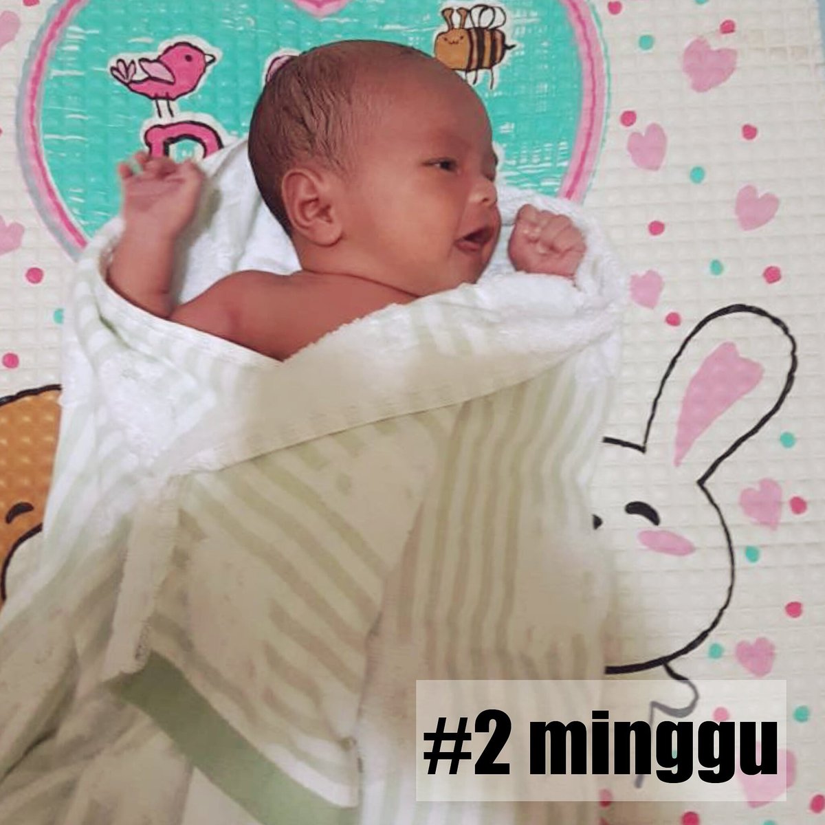 Beth (@christ_abel) on Twitter photo 