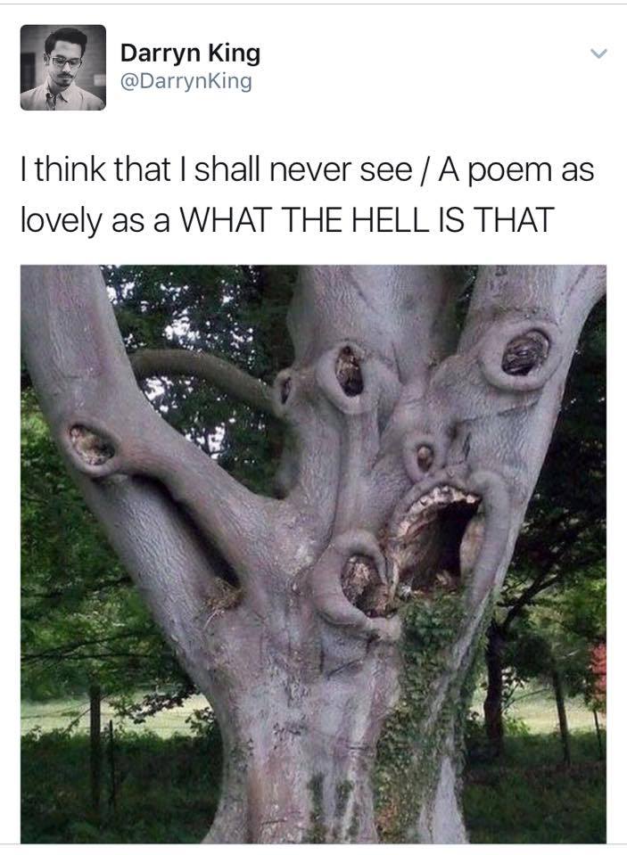 sciencehumorfb's tweet photo. Dendrologists nightmare...
#sciencehumor #science #humor #joke #meme #tree #botany #dendrology https://t.co/uzDiBtKPYH
