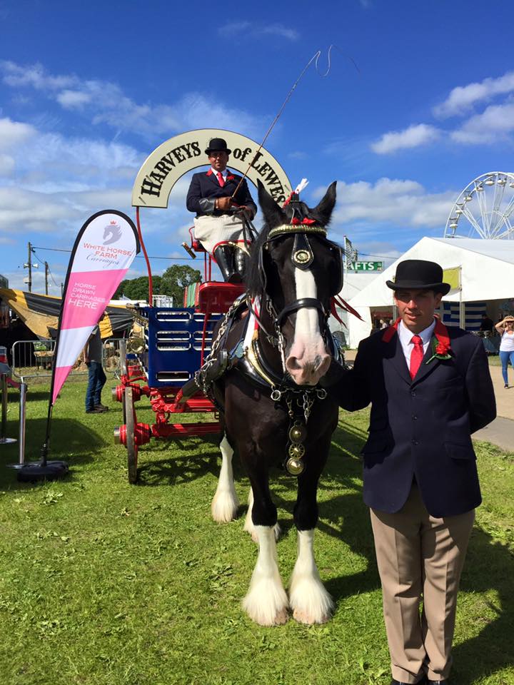 Harveys1790's tweet photo. Congratulations to Jim, Guinness & White Horse Farm Carriages team on a fantastic weekend at @seas_org πThanks for your hard work #SoEShow https://t.co/560AX0G22L