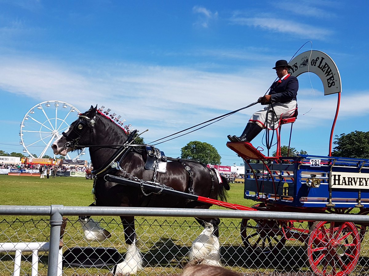 Harveys1790's tweet photo. Congratulations to Jim, Guinness & White Horse Farm Carriages team on a fantastic weekend at @seas_org πThanks for your hard work #SoEShow https://t.co/560AX0G22L