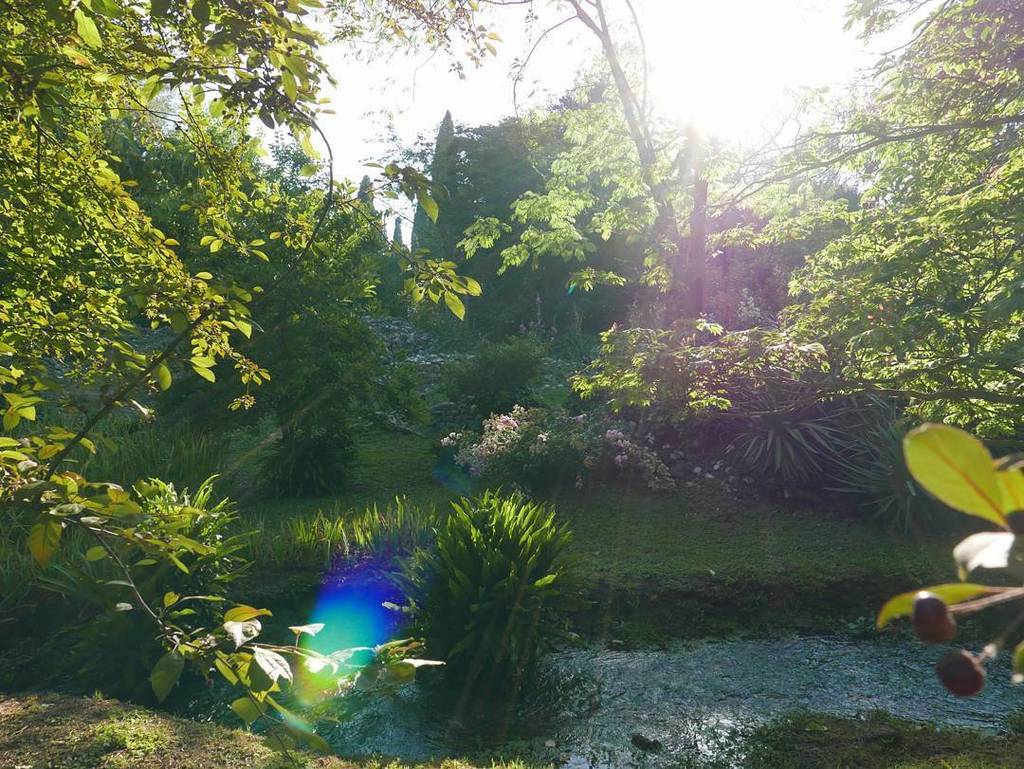 ZoldenAge's tweet photo. #botanicalgardens #italy #ninfa #sunburst #ruins #snapseed #summer https://t.co/7TcxEOuXo7