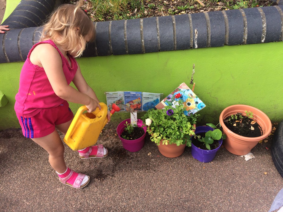 GrangeCaterpil2's tweet image. The seeds and bulbs we planted at spring time are coming on a treat #GPSearlyyears #EYFStheworld #EYFSoutdoorplay 🌸🌺