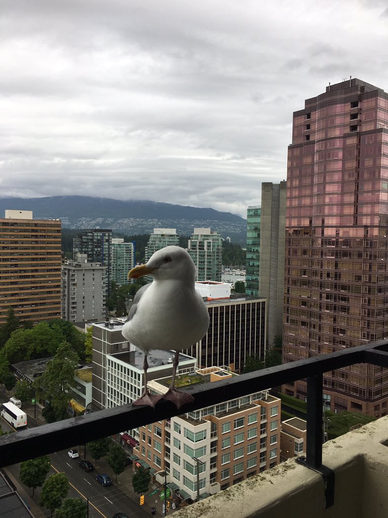 phil_oakes's tweet photo. And even the locals are friendly https://t.co/IzCSQ9d2Pl