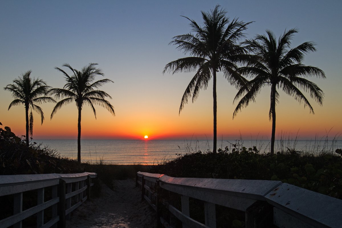 HlwdFLImages's tweet photo. Sunrise on Hollywood Beach a few weeks ago. #sunrise #sunshine #DayBreak #beaches #HollywoodFlorida #SouthFlorida #LoveFL #FloridaBeaches https://t.co/48ONSurXbV