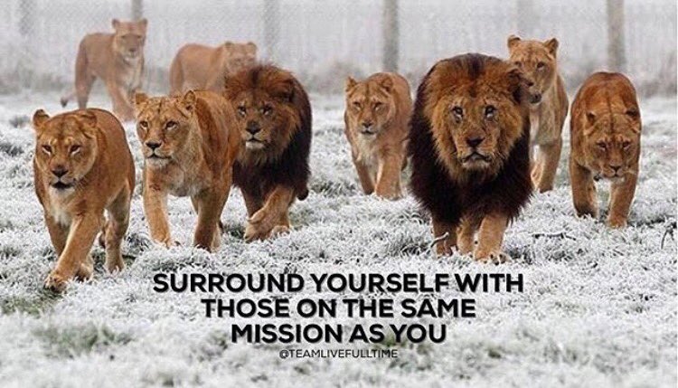 I am calling on all #Activist Please join us for a #TweetStorm on June   16 for #Yemen in regards to the #CholeraOutBreak . #Standup