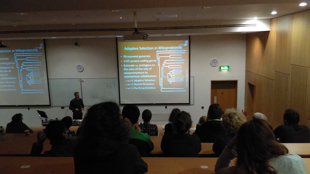 SBES postgrad tweet media