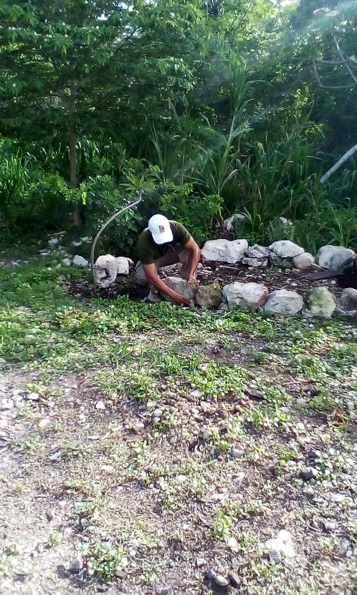 ¡Mucha actividad en nuestro Vivero Forestal Rivera Maya! #SembrandoFuturo #VFRM