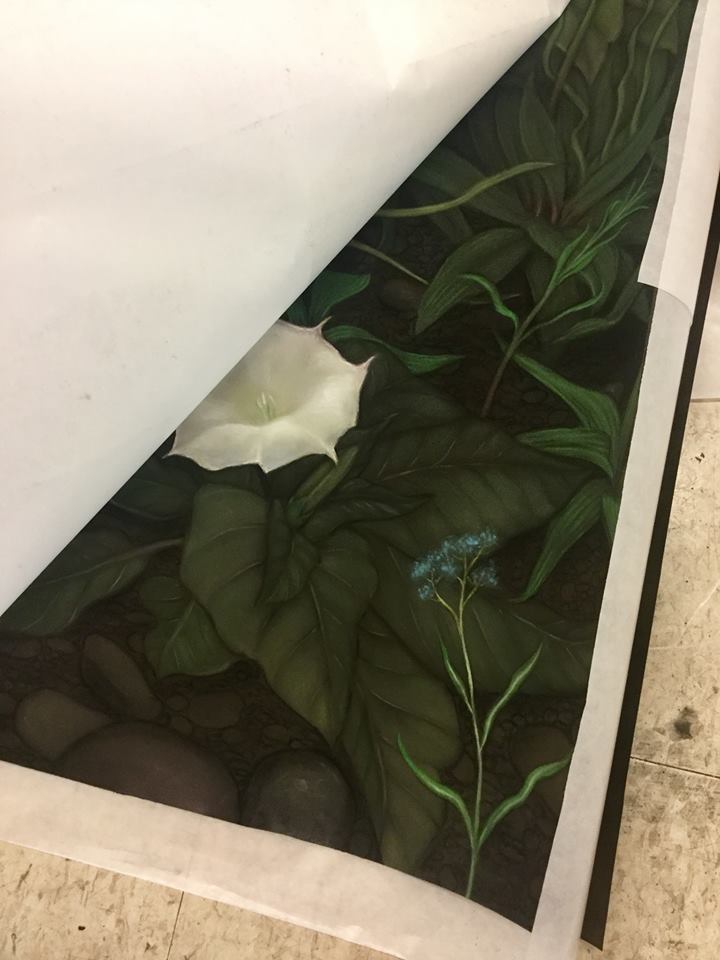 mcacgallery's tweet photo. Sneak peek...! Commissioned work by Zachari Logan, who will be our Artist-in-Residence in the Tom Thomson Shack later this month! https://t.co/e5UoNaYzYt