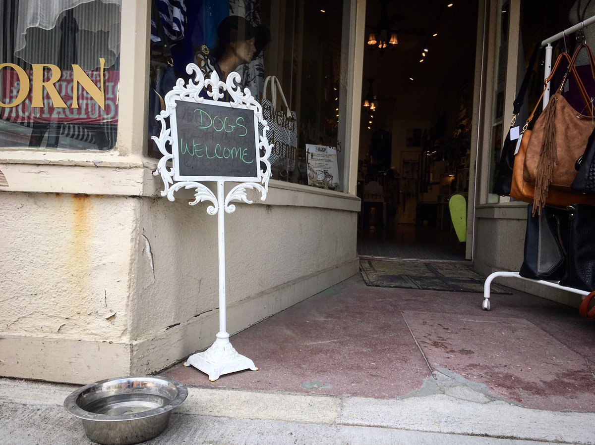 GaltLove's tweet photo. A sign of a great downtown!   Yes @GildedinGalt ! https://t.co/ybPAkHiROl