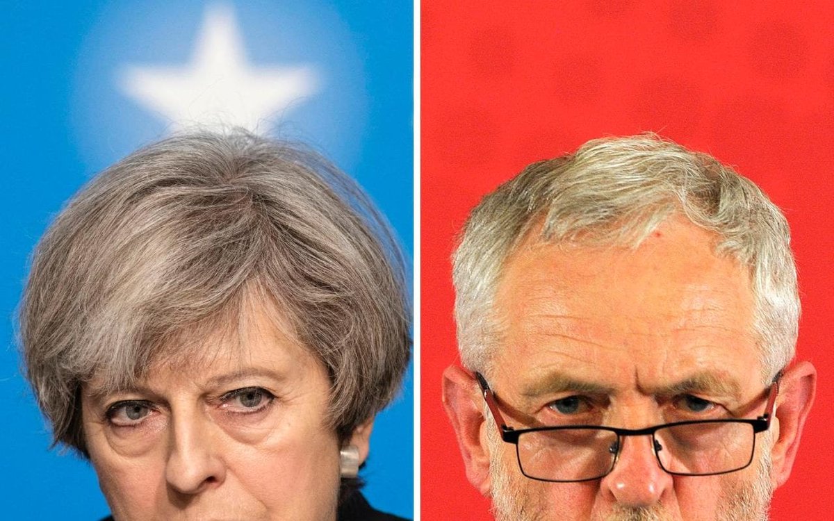 Telegraph Politics tweet media