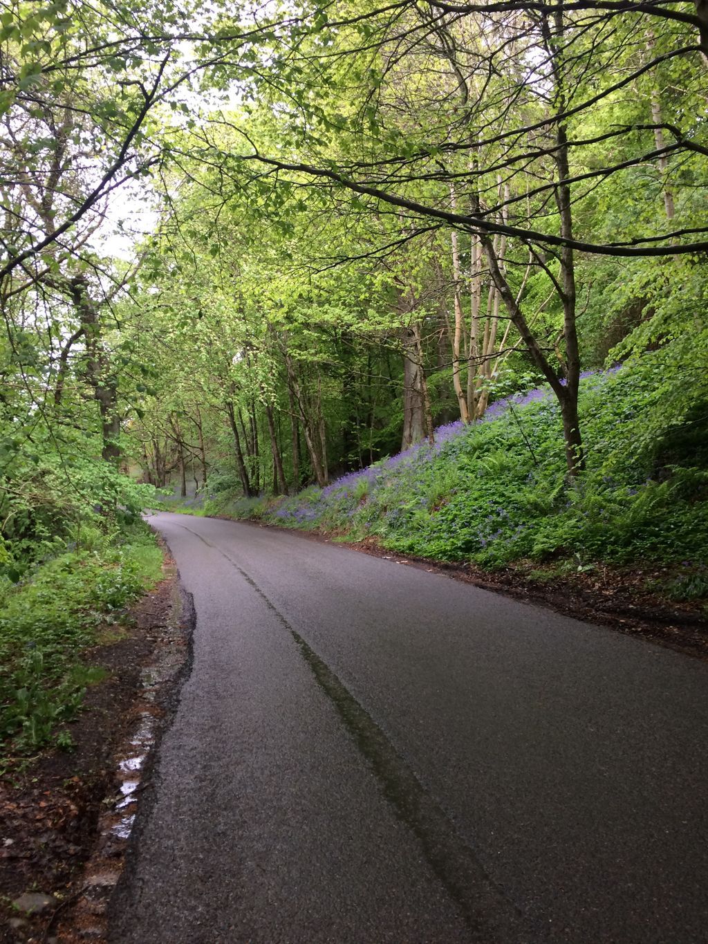 Nicky Harverson on Twitter: