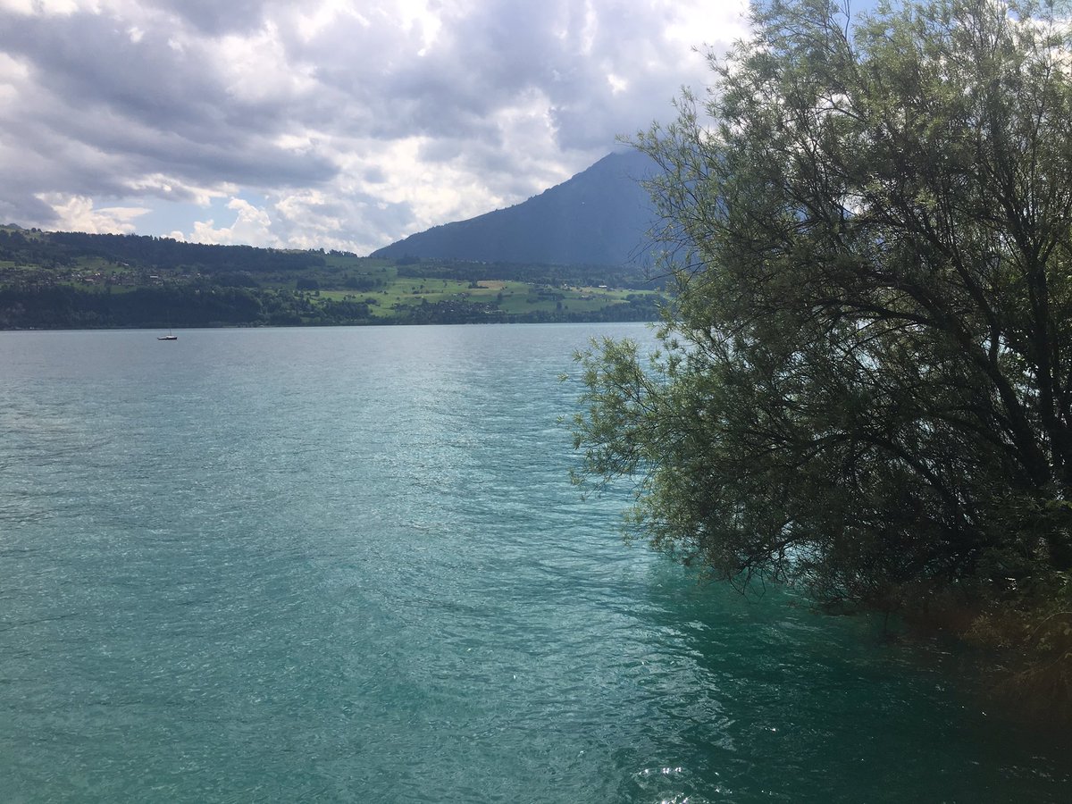 TeamTeslaS's tweet image. So much awesome places along the #SwissGrandTour! What a beautiful drive along the lake from Thun to Interlaken. #Wave2017 #TeslaSharing