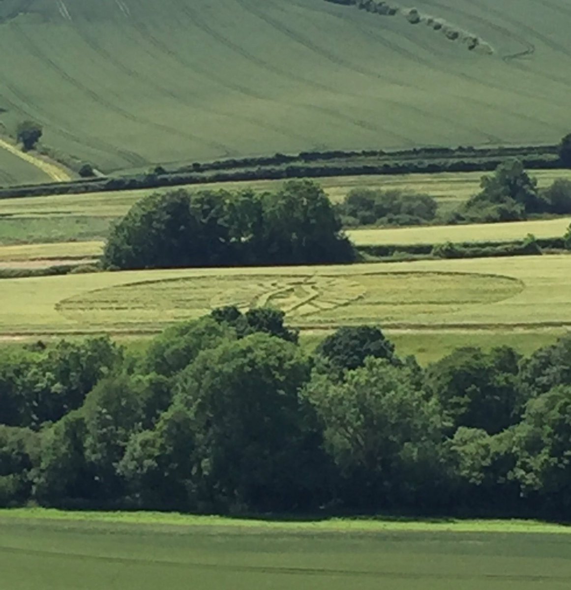 LisWarren's tweet photo. Walking to paradise in #Dorset sunshine with #PinnerRamblers & @hfholidays #cropcircle https://t.co/R9N5rRKn80