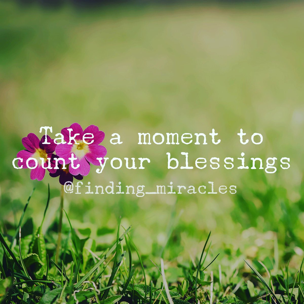 Finding_miracle tweet picture