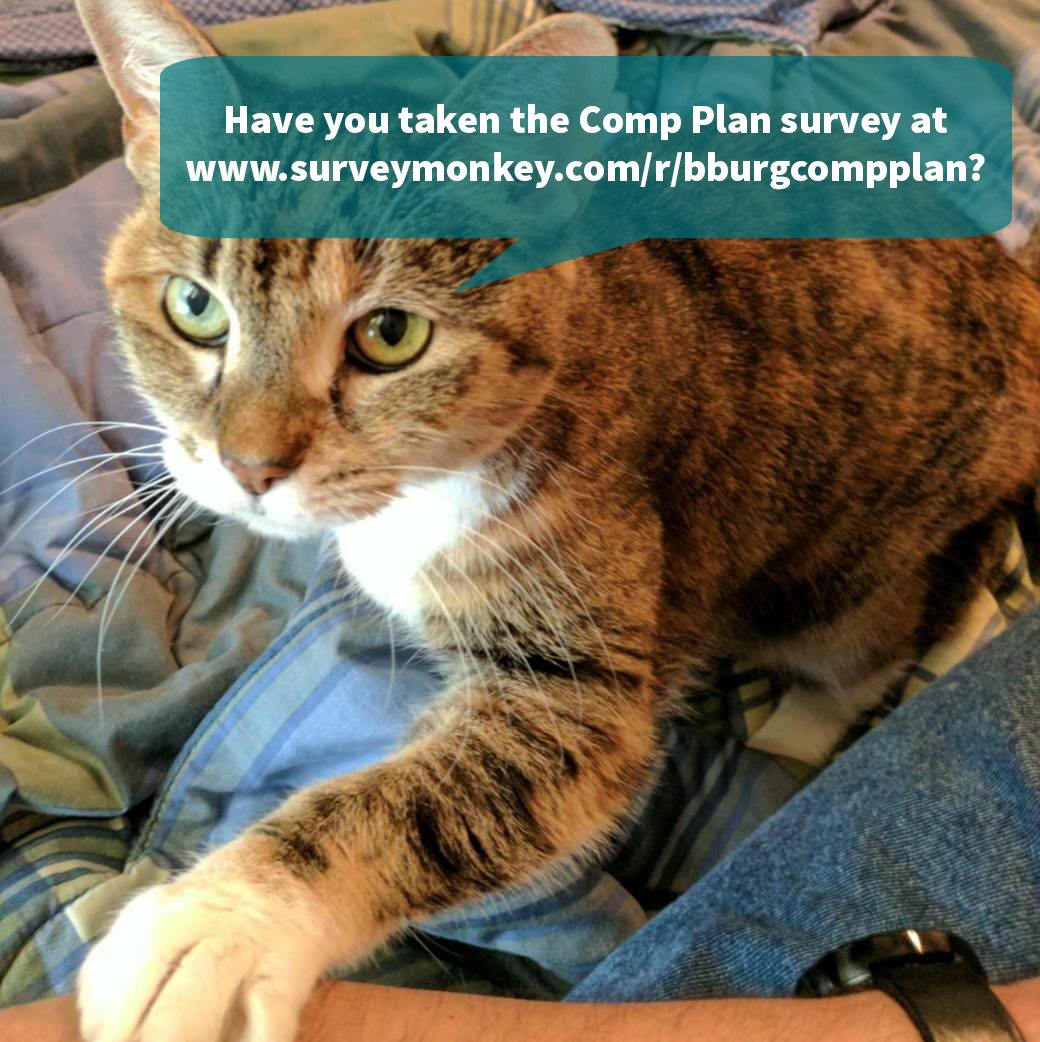 PlanningPup's tweet photo. I am on vacation, but my friend Sabrina has a message for you. https://t.co/kUrAz9o8g6