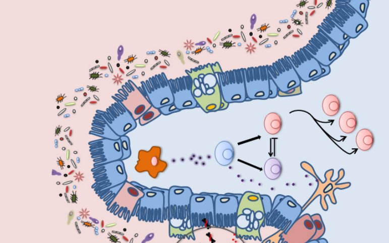 download dna replication