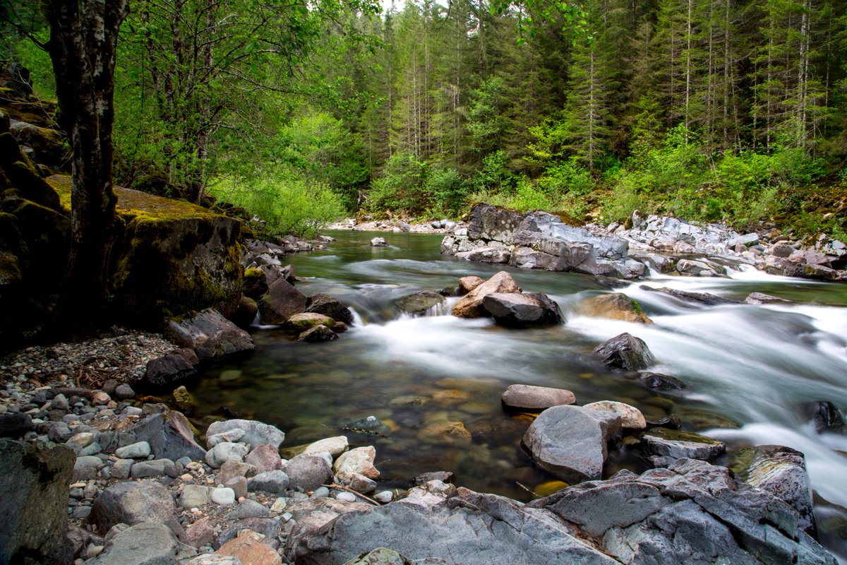 BLMOregon's tweet photo. In honor of #naturephotographyday, photo tips from one of the BLM’s best: https://t.co/UANujlUCRY #BobWick https://t.co/dGqlvJ1qPS