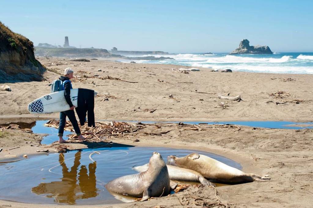 "That time I got barked at by some heavy locals" ~@danielhamlin_ ✌ Photo by <a href="/chrisburkard/">Chris Burkard</a>. #deepsurfmag instagram.com/p/BVX5P3egyc9/