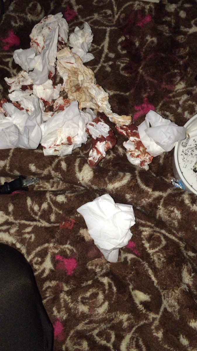 じゅうたんちだらけにしてごめんなさい