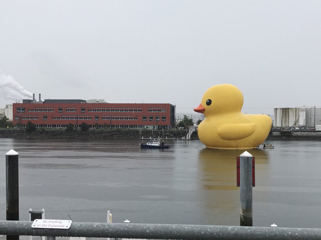 erikhanberg's tweet photo. #movetotacoma for the mountains and the water. Stay for the big duck. https://t.co/CmHsMOepzu