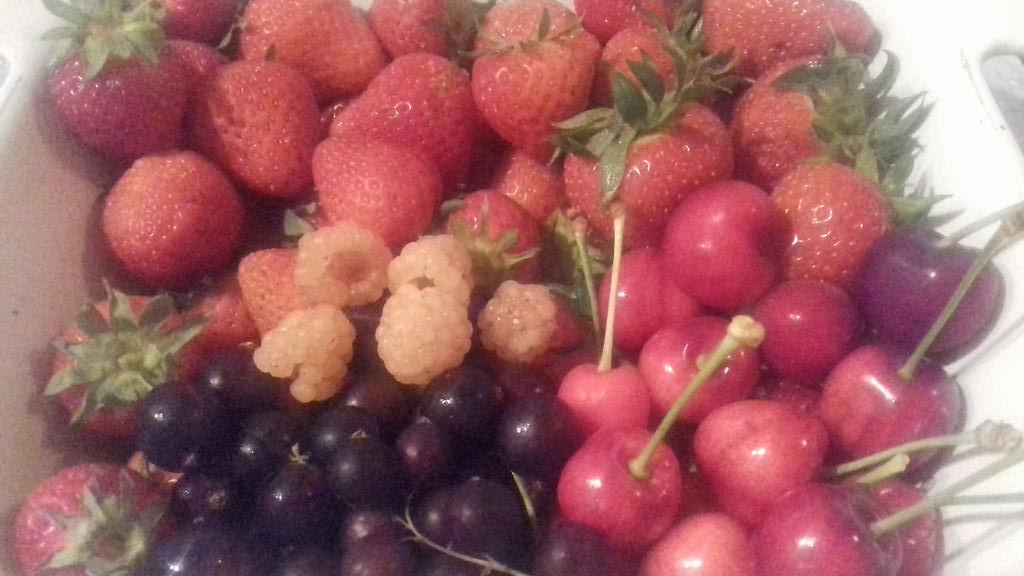 glenysjones's tweet photo. Not bad for an evening's harvest. πππππ #GoodLifeProblems though...lots more cherries ready but too short to reach them! #WhereIsTheLadder π https://t.co/ISW2fLxrZR