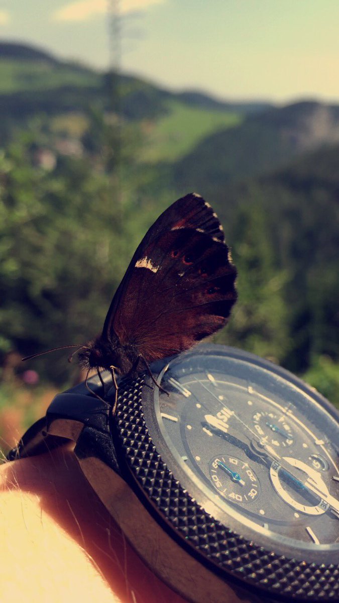 Austrian994's tweet photo. @Fossil I'm not the only who loves your watches! https://t.co/YAiWAA42kE