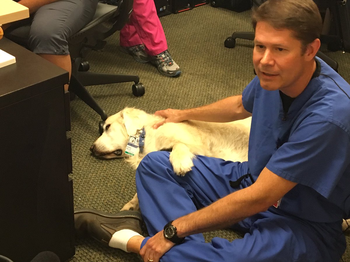 Duke Health (@dukehealth) on Twitter photo A doc's best friend? Dr. Piers Barker talks w/ <a href="/WRAL/">WRAL NEWS in NC</a> about a trial using therapy dogs to calm kids needing heart echos. <a href="/Duke_Childrens/">Duke Children's</a> A doc's best friend? Dr. Piers Barker talks w/ <a href="/WRAL/">WRAL NEWS in NC</a> about a trial using therapy dogs to calm kids needing heart echos. <a href="/Duke_Childrens/">Duke Children's</a>