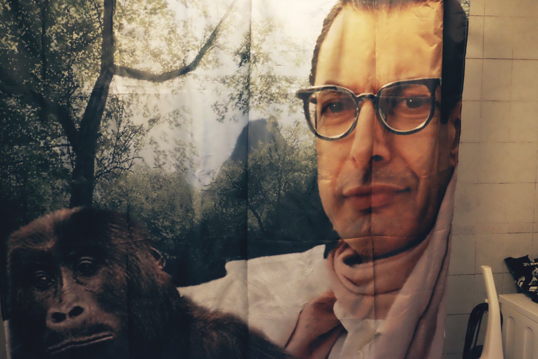 Jeff goldblum shower curtain deals
