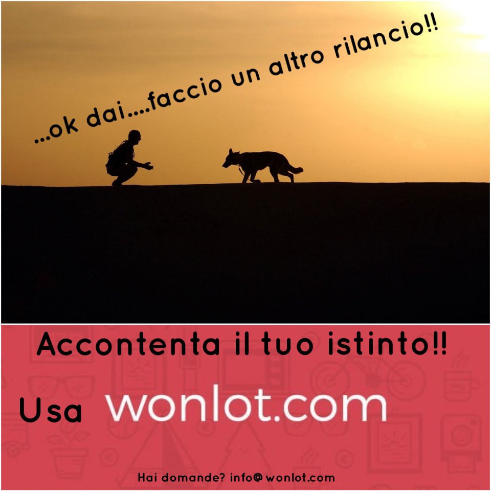 wonlot tweet picture