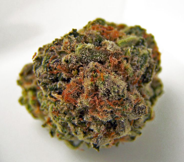 Society_420's tweet photo. Strawberry Mango Haze || Sativa || Strawberry Cough X Mango Haze ||
#DailyStrain | #NugPorn | #ColorfulCannabis | #HighSociety | https://t.co/WbXe8wwKZH