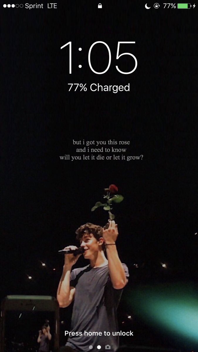 lockscreens 🌹 (inactive) on Twitter: "shawn mendes x roses lyrics  lockscreen rt if you want it mbf so i can dm read rules! ✨ - lindsey 💗  https://t.co/fDnpcMiDHB" / Twitter