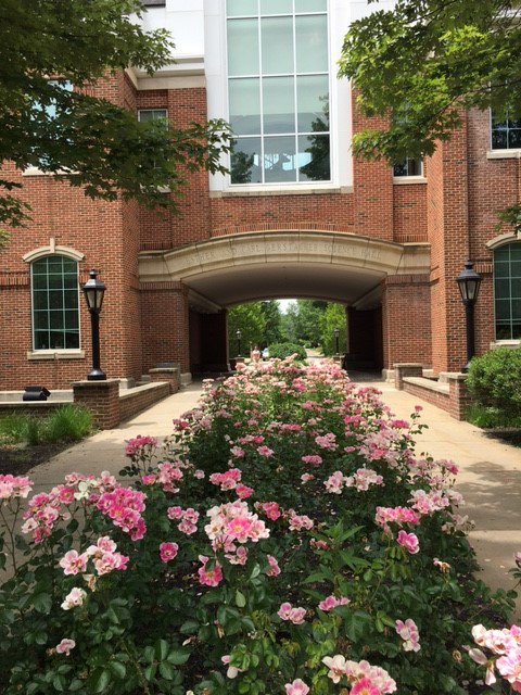 RegistrarHC's tweet photo. Campus lookin' sharp for #AlumniWeekend @hiramcollege. 😍😍#TerrierforLife #SummeratHiram https://t.co/2XZQiTJ2bI https://t.co/z5Zqh7f9Hs