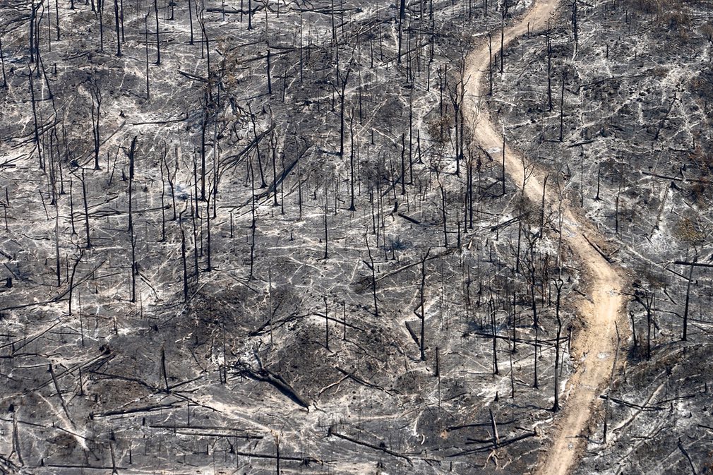 ResourceFnd's tweet photo. What will we be photographing #in100years? #NaturePhotographyDay #deforestation #SaveTheEarth @naomilars @guardian
https://t.co/m2c5FPypTm https://t.co/8jAYC1Dj9w