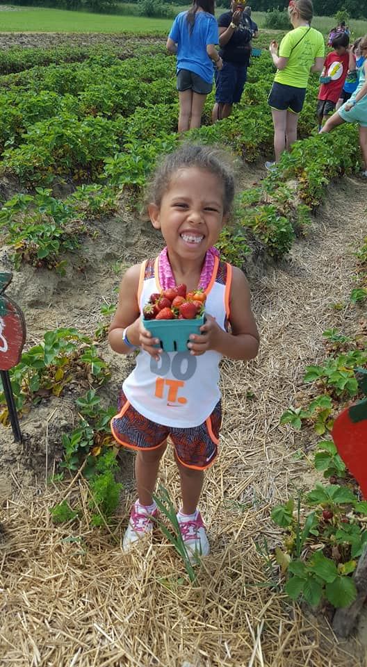 lscholarsohio's tweet photo. Strawberry picking field trip! https://t.co/dYjXMbKT3q