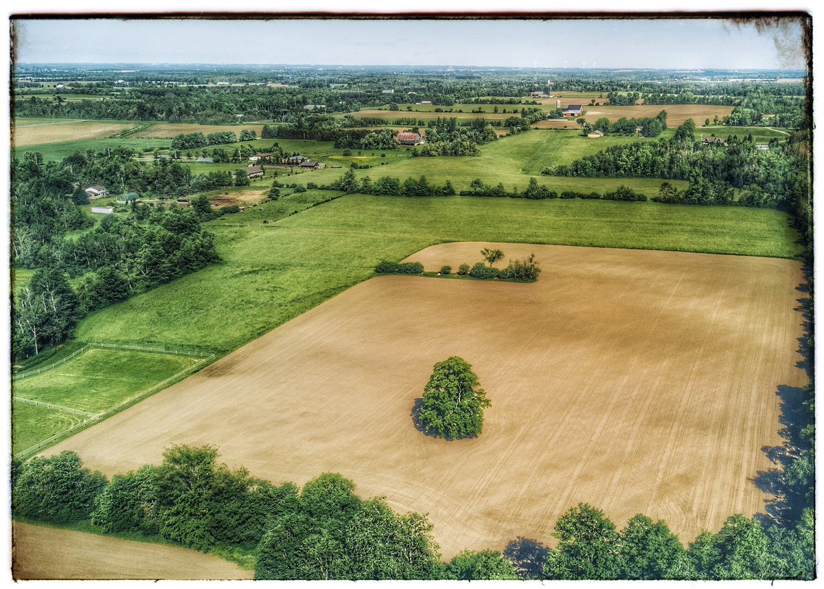 2 STUNNING 10 acre lots available in #centrewellington | I've got the details. #ruralliving #belwood #countryliving #lookatthatview #guelph