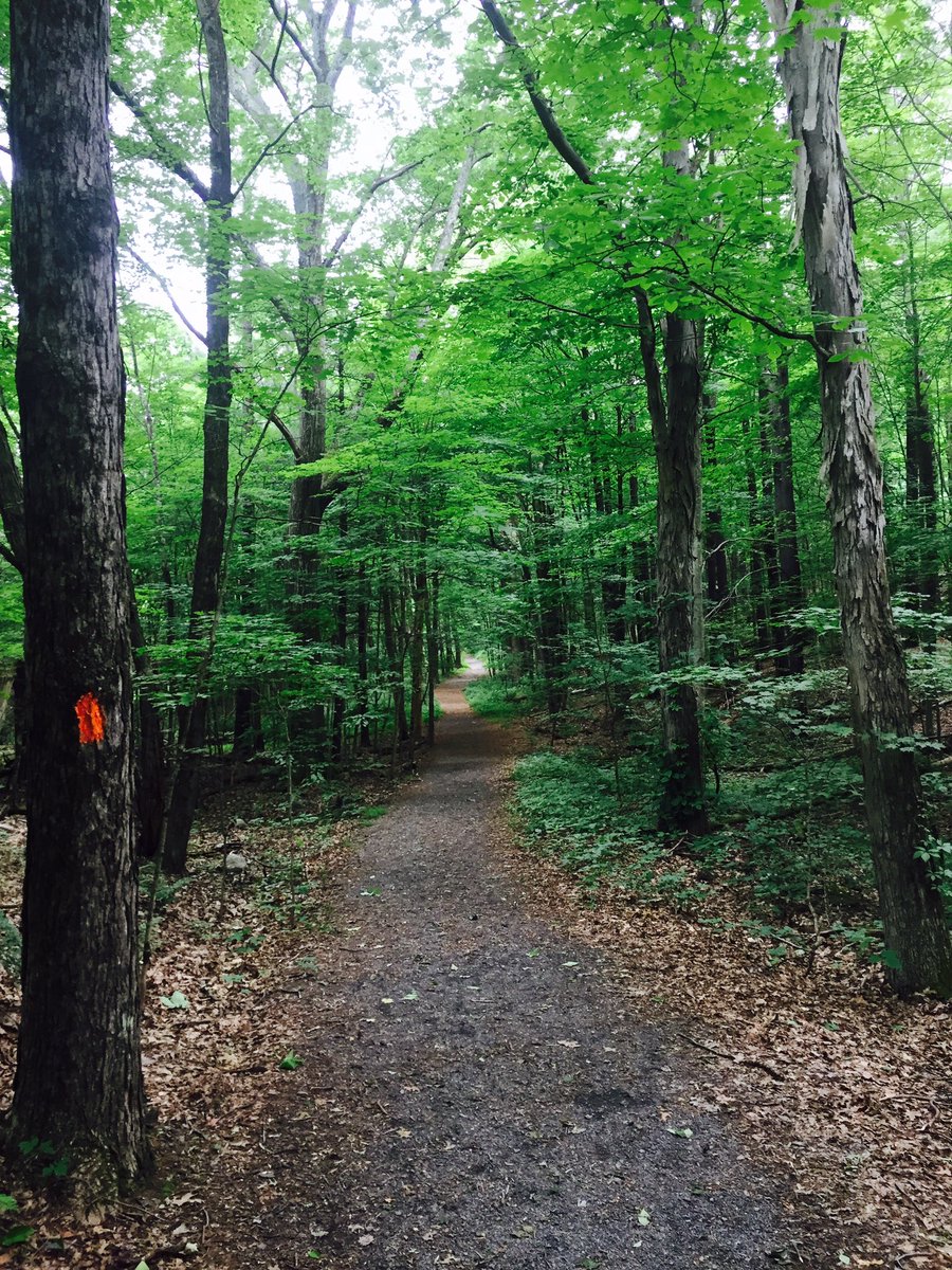 MsFeidenScience's tweet photo. Not in a concrete jungle anymore! #ms167 #PEEC 🌳 🌲 🐸 🐢 https://t.co/8Dp51YB8QR