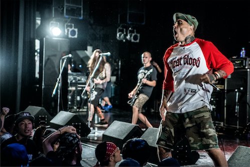 MTS Collective tweet media