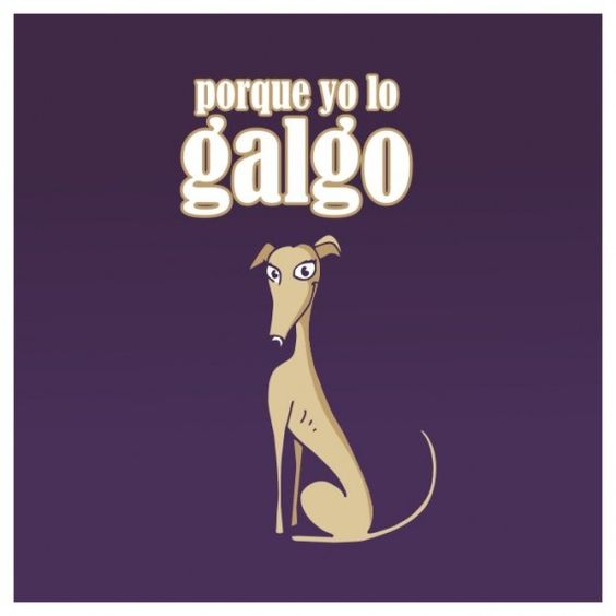 viajarconperros's tweet photo. https://t.co/9XBb0WJpo2