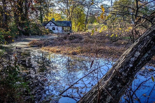 Wake Forest Magazine tweet media