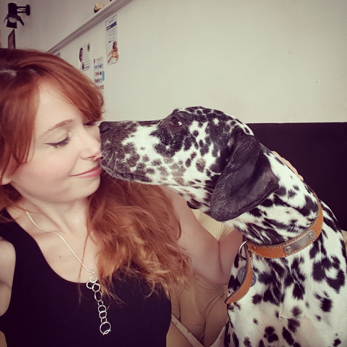 LaBelladone's tweet photo. Second.... Irish. 🐶
Something happened between us.
#dog #rescuedog #rescuedogs #lewaf #chien #caféchien #mixbreed #redhead #redhair #ginger https://t.co/MRpQUx75lu