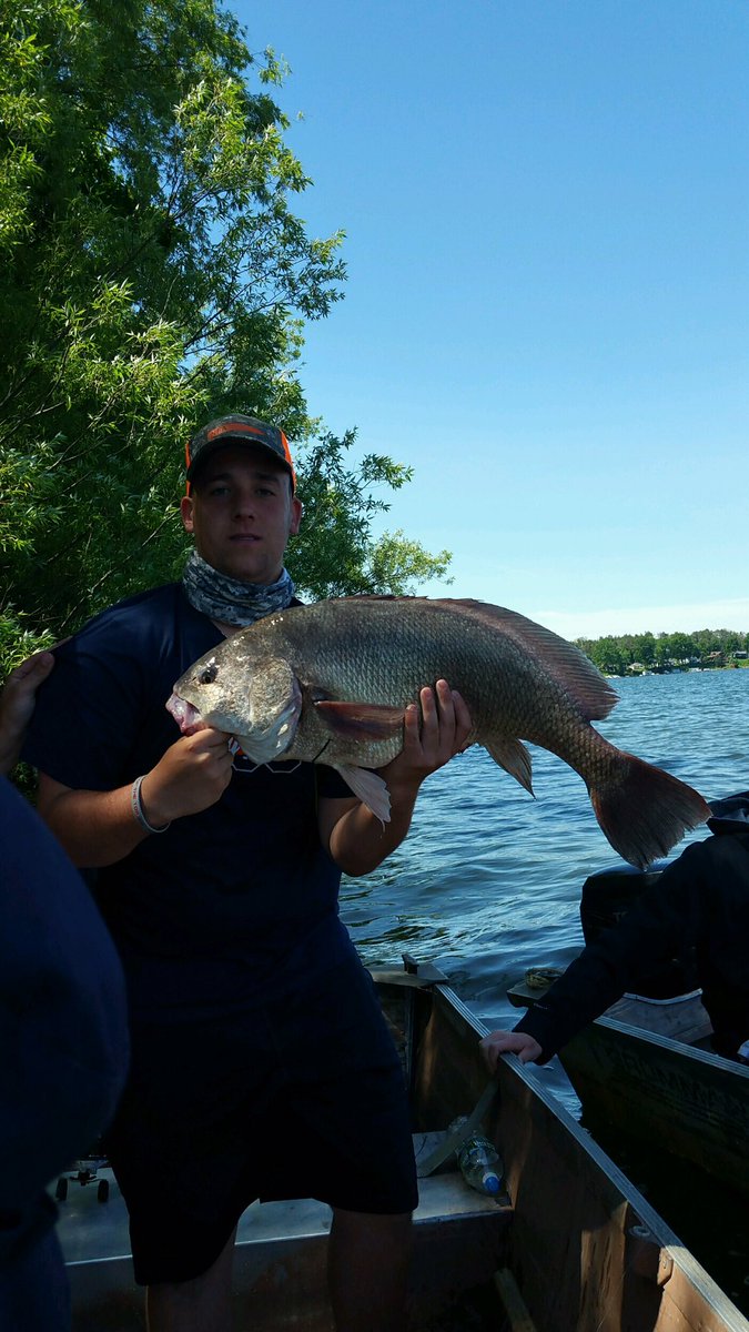 tmacroc17's tweet photo. The boys were killing at Sodus, called off with a HUGE Sheep Head https://t.co/q6ZcGiStx3