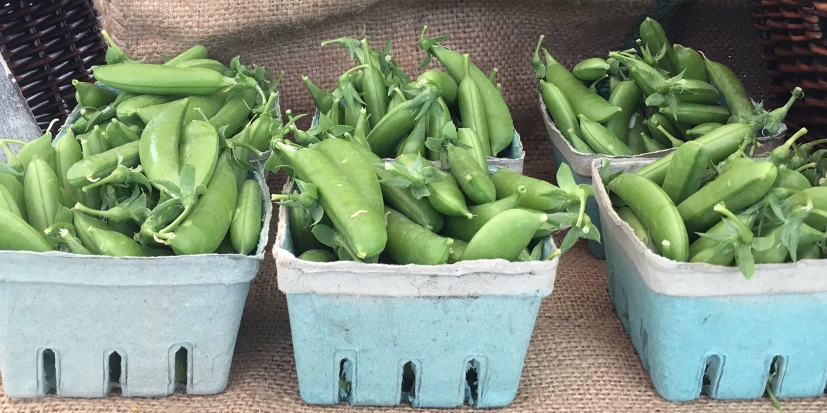 Meillacois's tweet photo. @VanMarkets #DowntownFM 1st of the season sugar snap peas. Spectacular red butter lettuce, carrots, etc + #SPCA cert chicken. @SoleFoodFarms https://t.co/dvcrmz0wpg