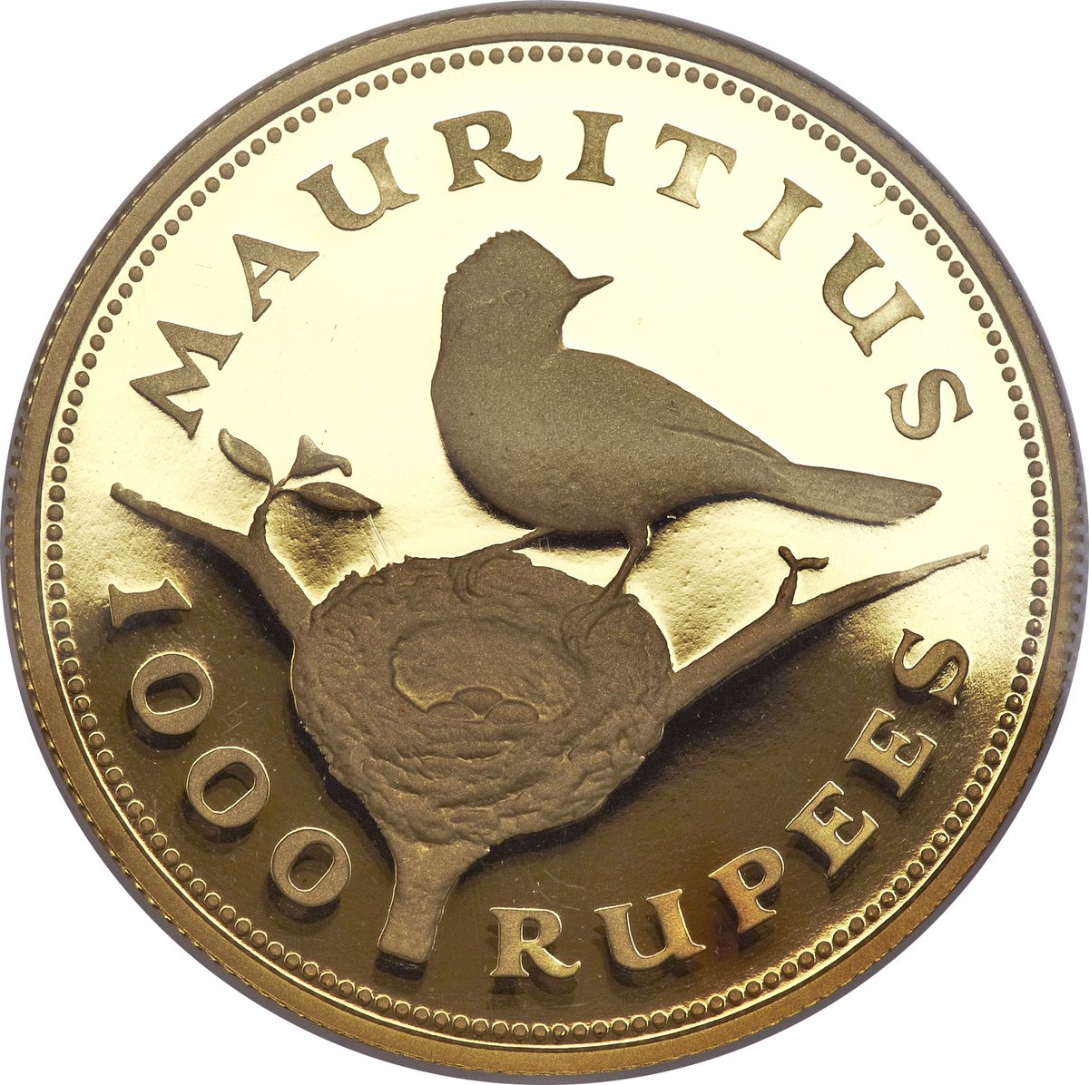 coinmania's tweet photo. Very Nice Gold Coin From Africa - Mauritius Flycatcher
Face Value: 1000 Rupees
Year 1975 https://t.co/LCZApg5e6X
