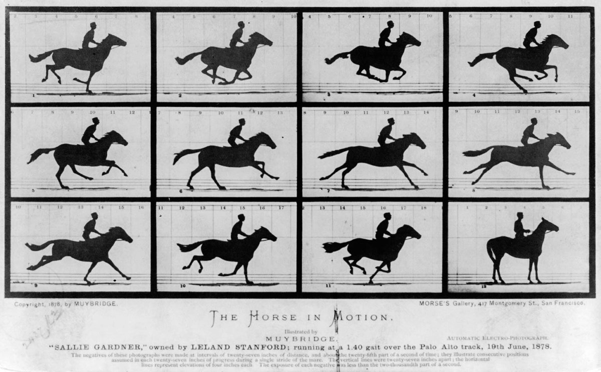 ICPhotog's tweet photo. Eadweard Muybridge wasn’t horsing around #otd in 1878—he documented motion using 12 trip-wire cameras and a horse named Sallie Gardner. 🏇 https://t.co/OD0XV1KlCW